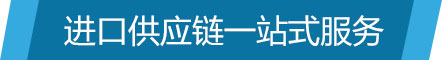 進(jìn)口供應鏈小圖標.jpg